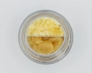 drool by snooze wax